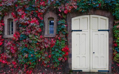 Wooden Double Doors: Enhancing Your Home